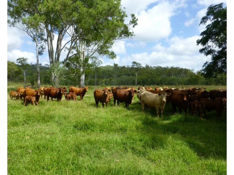 Moolboolaman QLD 4671