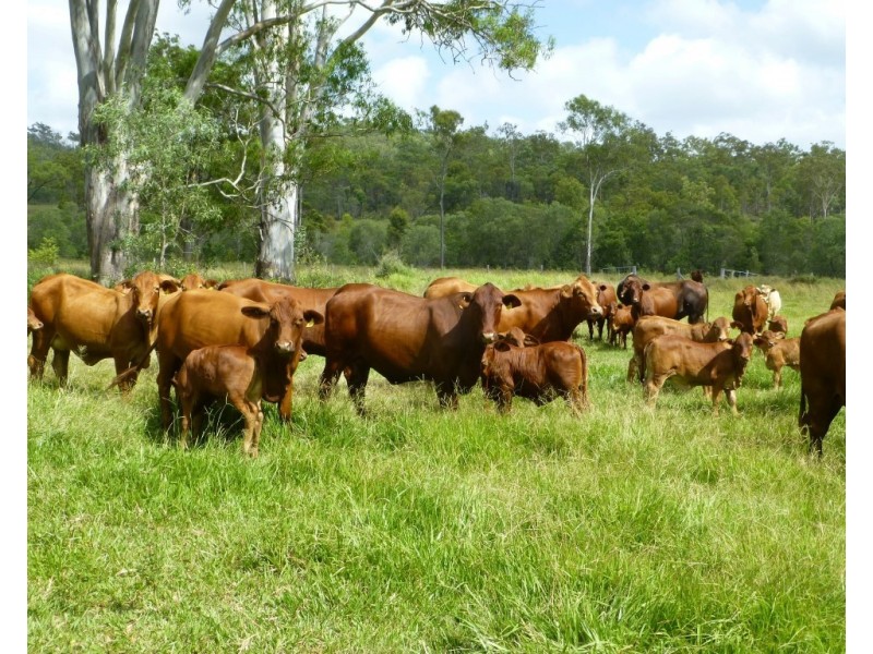 Moolboolaman QLD 4671