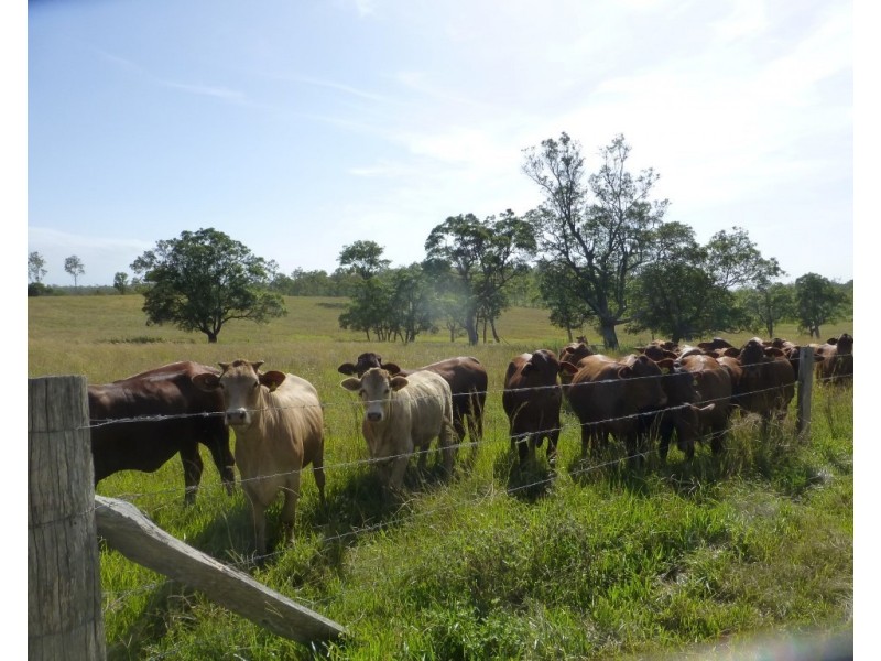 Moolboolaman QLD 4671