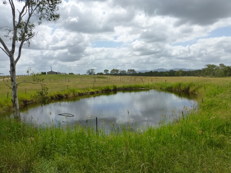 163 DEGILBO MINES ROAD, Degilbo QLD 4621