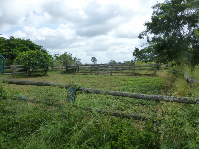 163 DEGILBO MINES ROAD, Degilbo QLD 4621