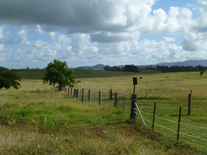 163 DEGILBO MINES ROAD, Degilbo QLD 4621