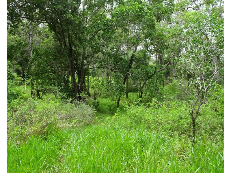 1518 BUXTON ROAD, Buxton QLD 4660
