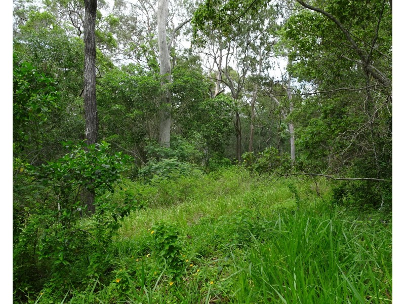 1518 BUXTON ROAD, Buxton QLD 4660