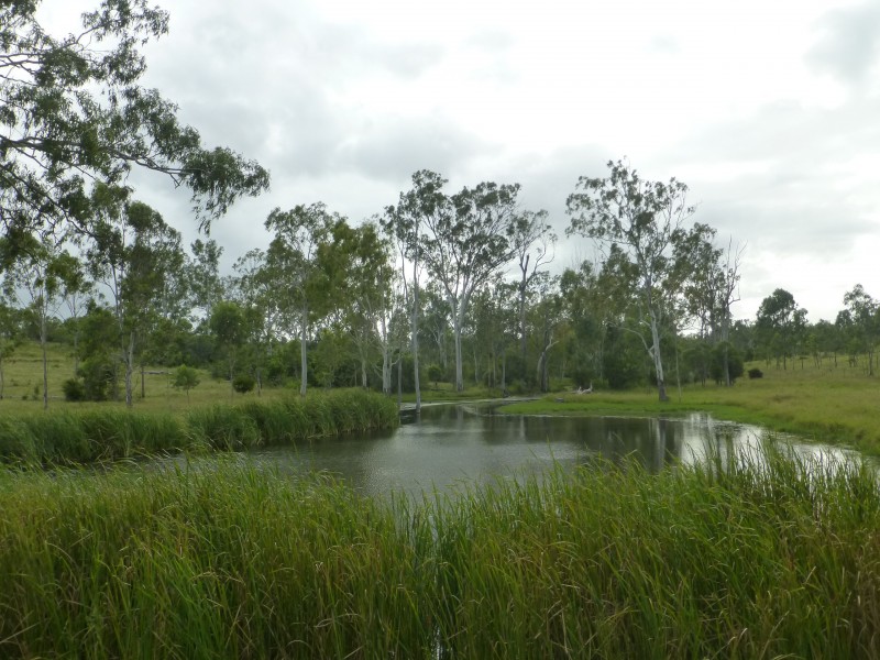 Dallarnil QLD 4621