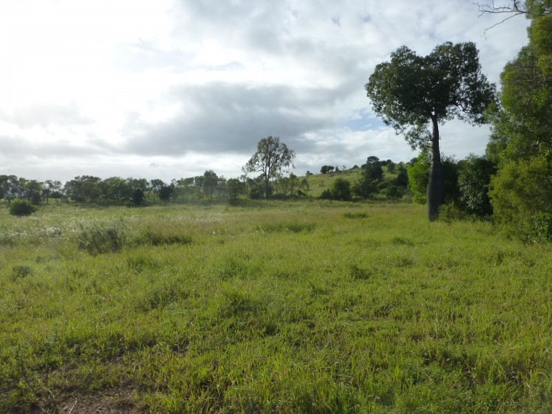 Dallarnil QLD 4621