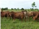 Dallarnil QLD 4621
