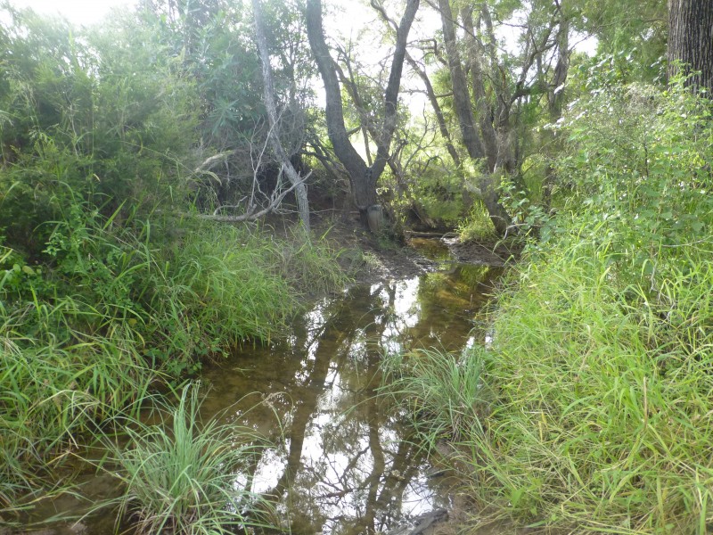 Dallarnil QLD 4621