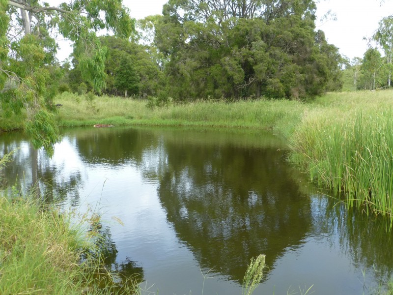 Dallarnil QLD 4621