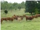 Dallarnil QLD 4621