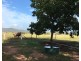 76 BLUFF VIEW ROAD, Biggenden QLD 4621