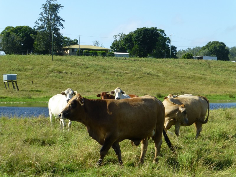 89 TEEBAR HALL ROAD, Teebar QLD 4620