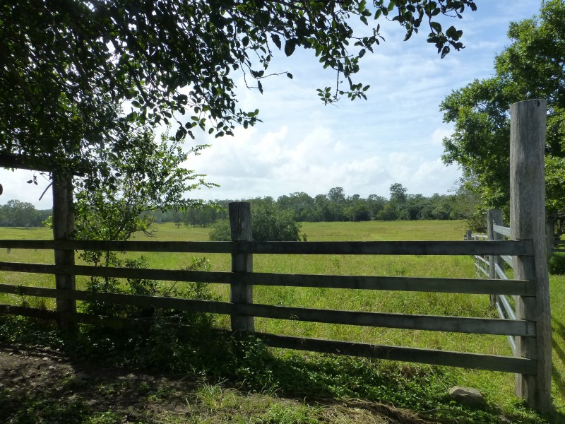 89 TEEBAR HALL ROAD, Teebar QLD 4620