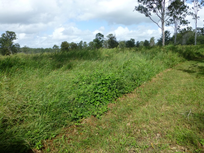 89 TEEBAR HALL ROAD, Teebar QLD 4620