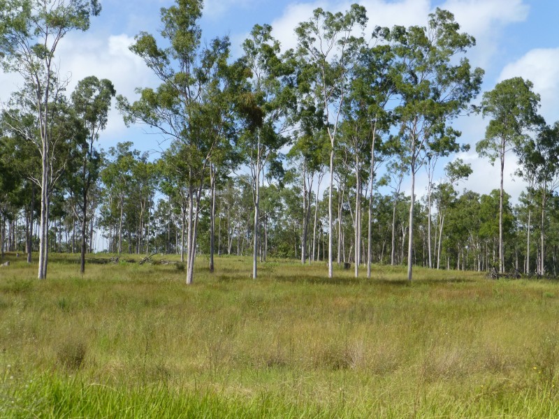 89 TEEBAR HALL ROAD, Teebar QLD 4620