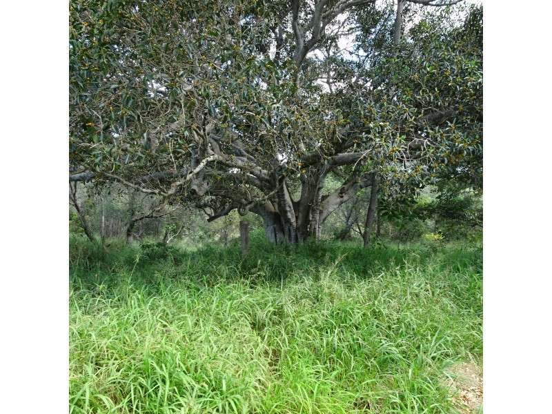 39-41 KELVIN STREET, Apple Tree Creek QLD 4660