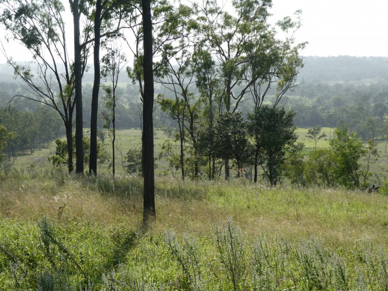 Lakeside QLD 4621