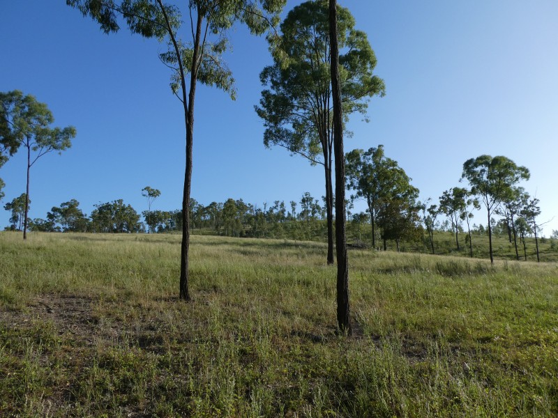 Lakeside QLD 4621
