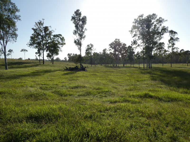 Lakeside QLD 4621