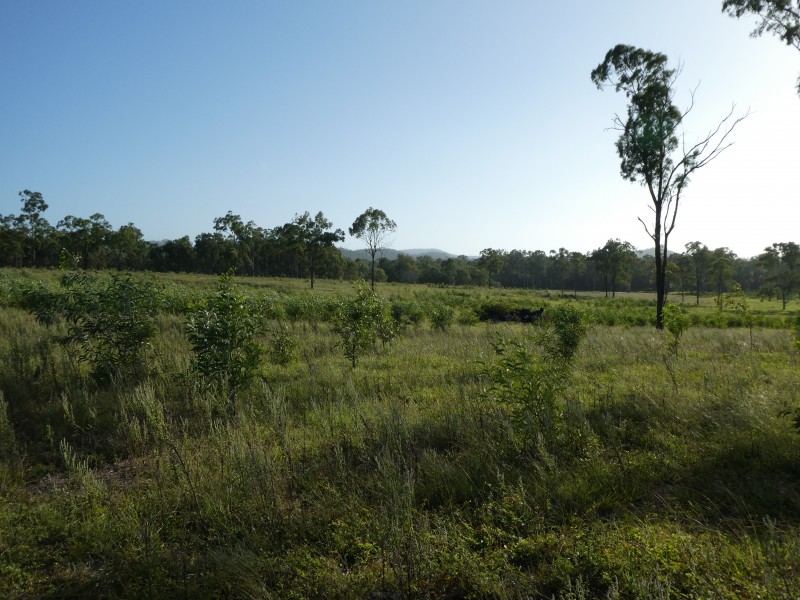 Lakeside QLD 4621