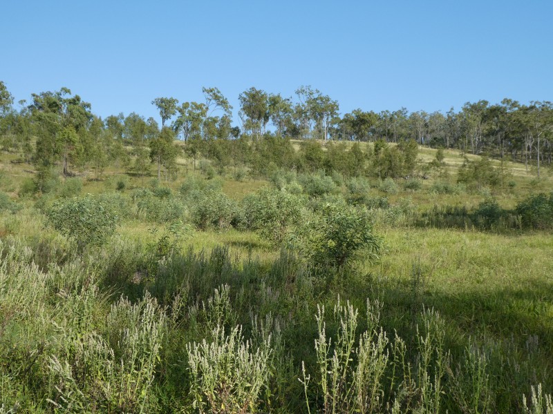 Lakeside QLD 4621