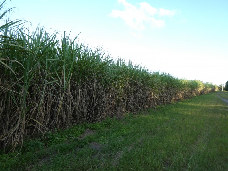 North Gregory QLD 4660