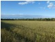 North Gregory QLD 4660