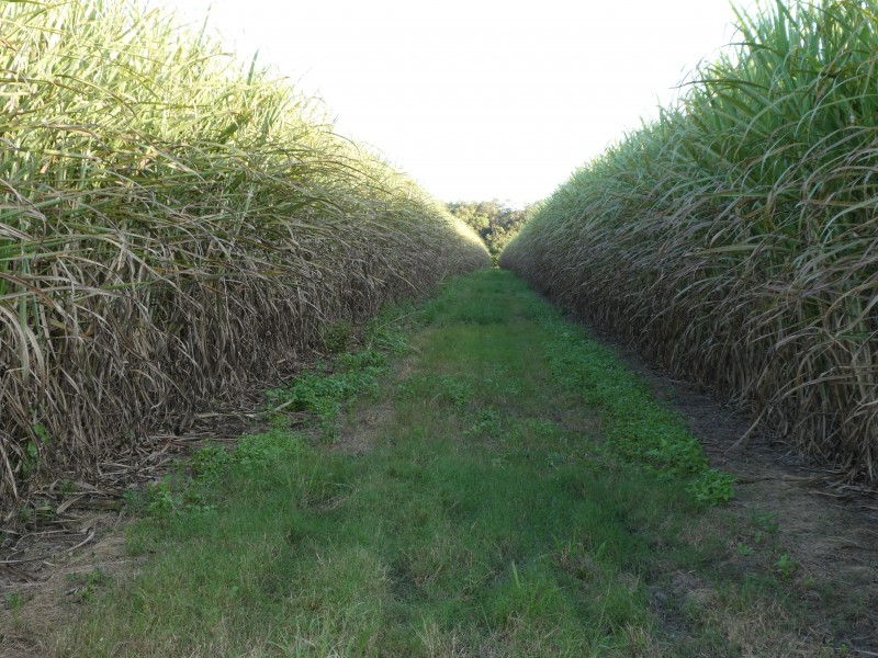 North Gregory QLD 4660
