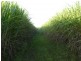 North Gregory QLD 4660