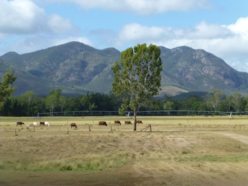 Biggenden QLD 4621