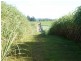 Wallaville QLD 4671