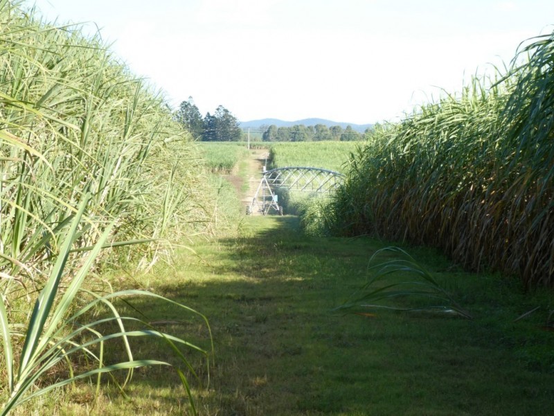 Wallaville QLD 4671