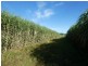 Wallaville QLD 4671