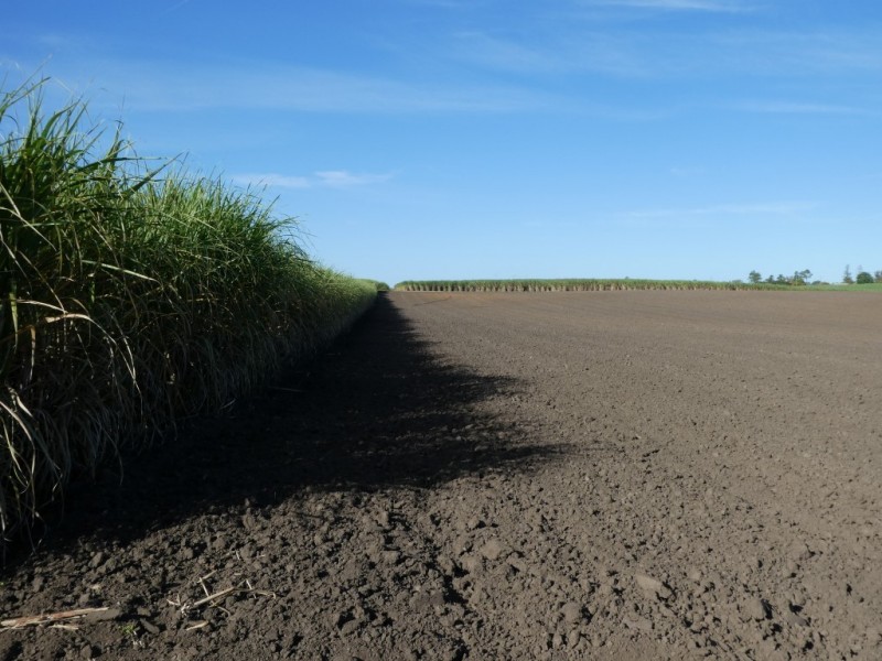 Wallaville QLD 4671