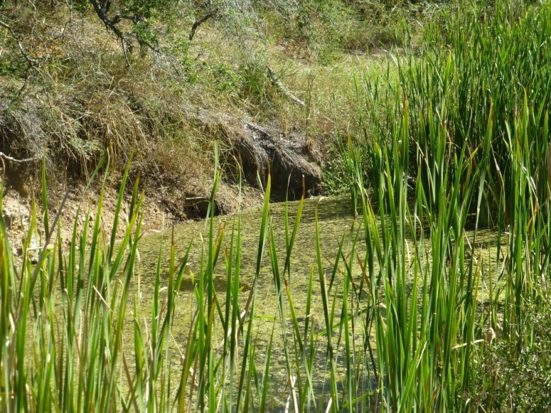 Dallarnil QLD 4621