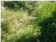 Dallarnil QLD 4621