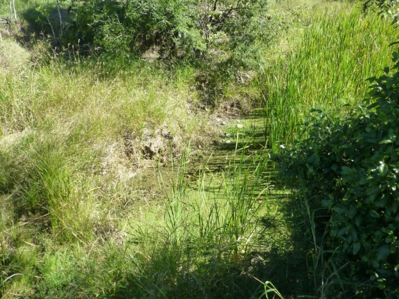 Dallarnil QLD 4621