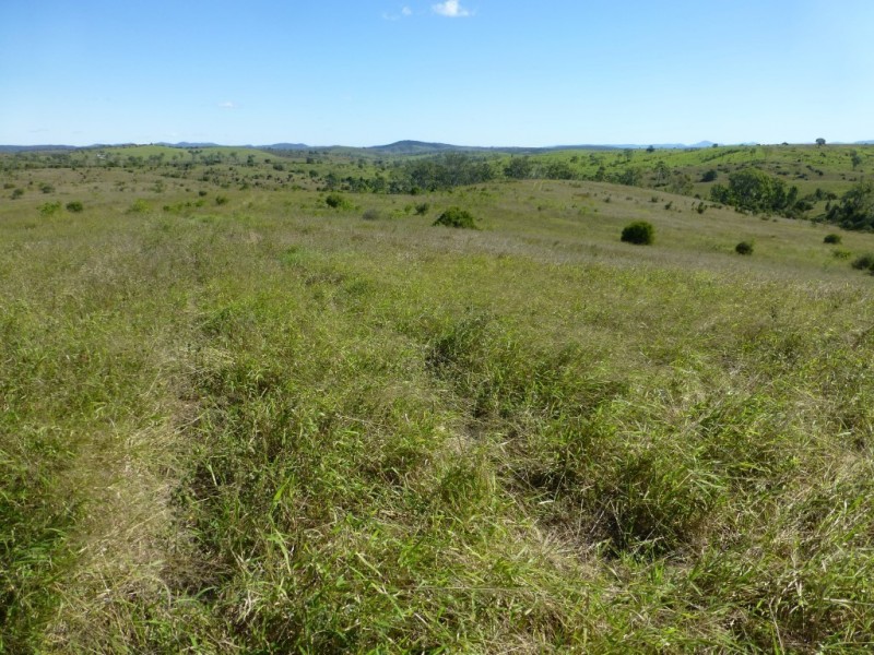 Dallarnil QLD 4621
