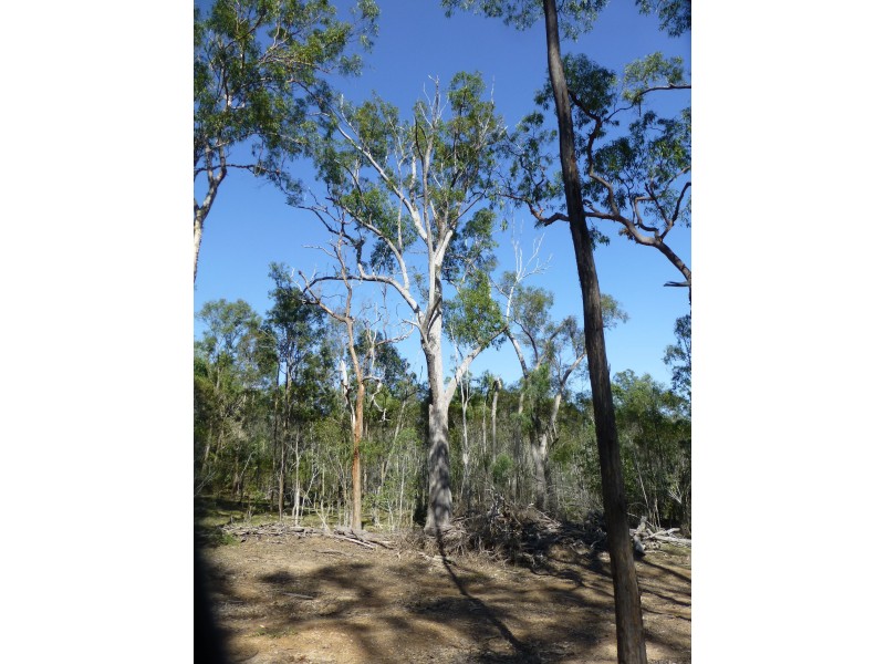 Teebar QLD 4620