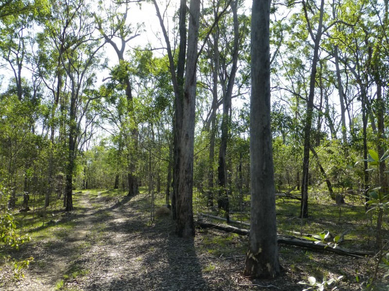 Teebar QLD 4620