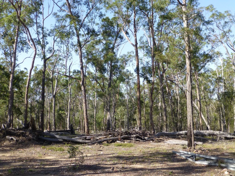 Teebar QLD 4620