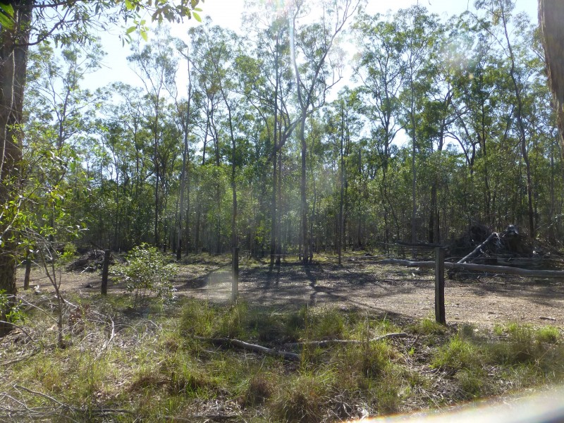 Teebar QLD 4620