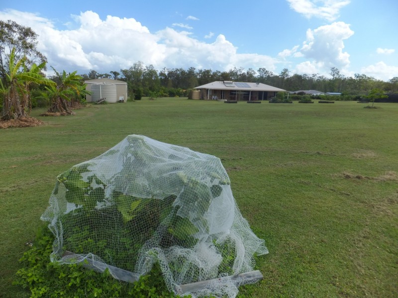 10 RHYTHM RISE, Redridge QLD 4660