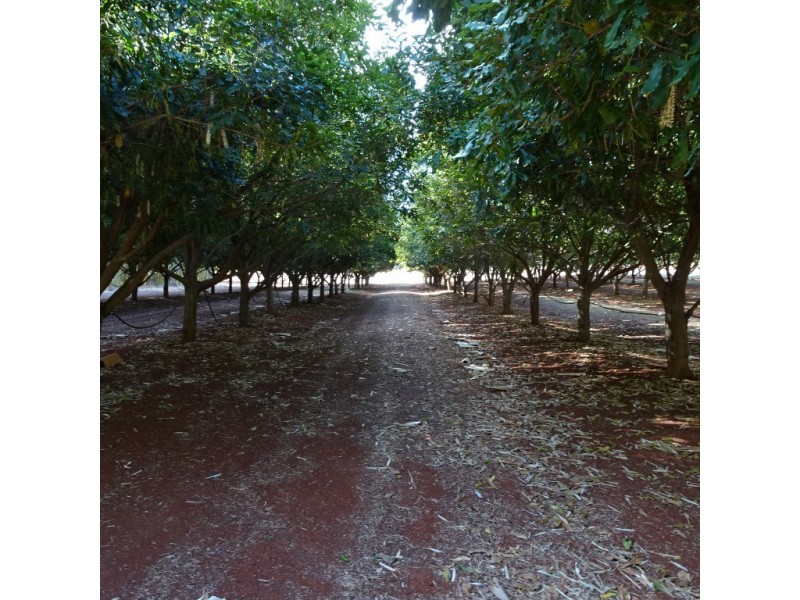 258 ATC HALL ROAD, North Isis QLD 4660