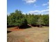 258 ATC HALL ROAD, North Isis QLD 4660