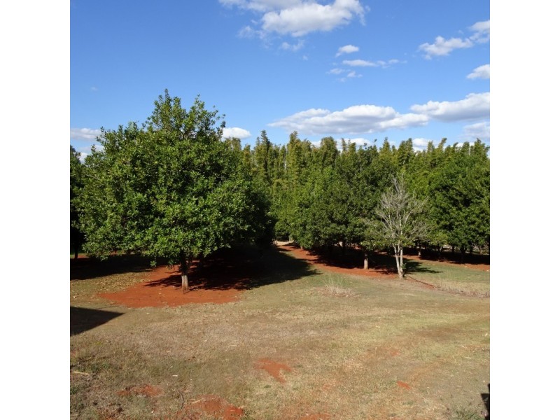 258 ATC HALL ROAD, North Isis QLD 4660