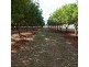 258 ATC HALL ROAD, North Isis QLD 4660