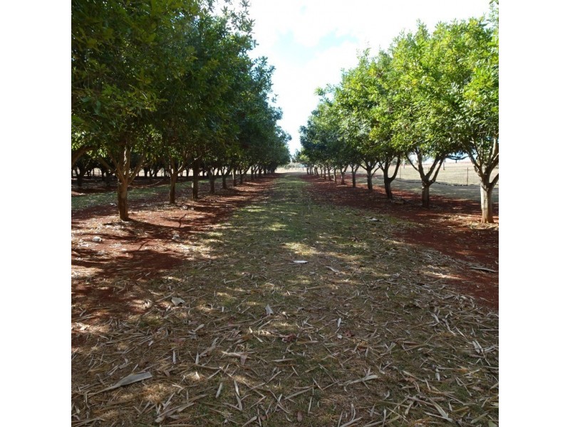258 ATC HALL ROAD, North Isis QLD 4660