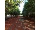 258 ATC HALL ROAD, North Isis QLD 4660