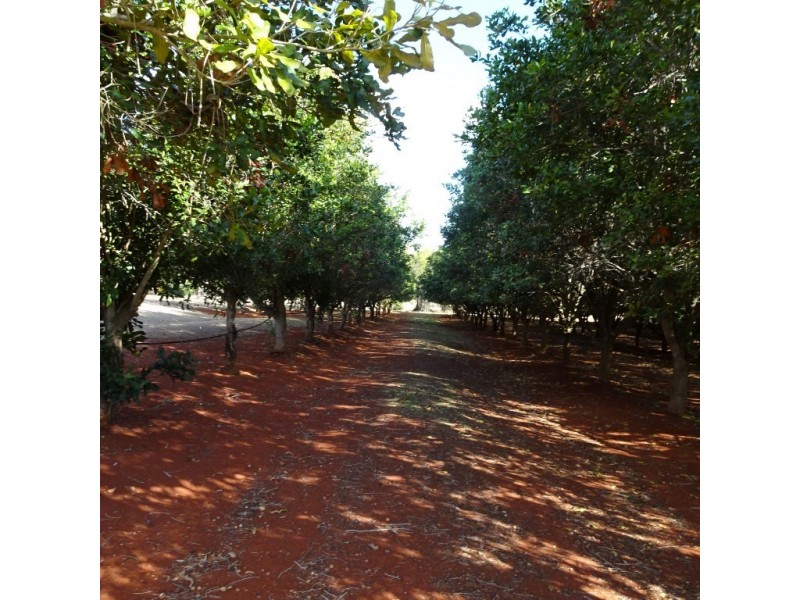 258 ATC HALL ROAD, North Isis QLD 4660